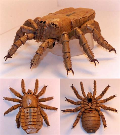 ancient arachnid brought   life  archaeology news network