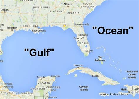 gulf coast local wouldnt  caught dead  alcom