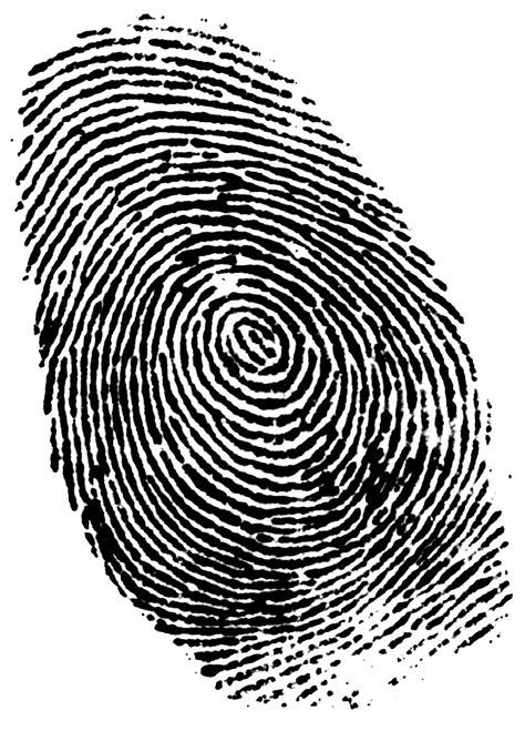 german minister photo fingerprint theft    easy wail