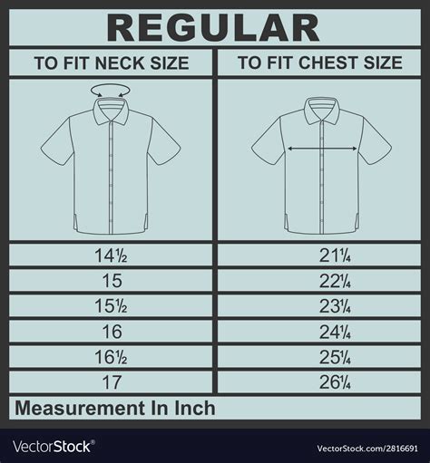 men shirt regular size royalty  vector image