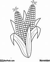 Corn Coloring Pages Drawing Ear Printable Colouring Three Para Ears Sheets Squash Beans Sisters Cob Color Kids Imagen Aboriginal Drawings sketch template