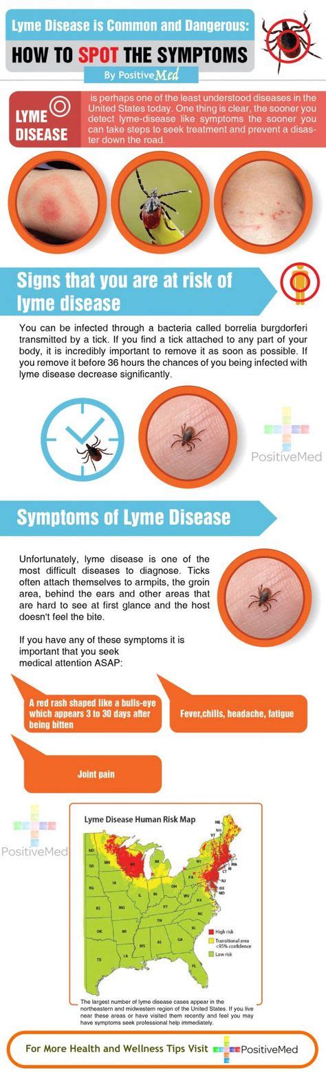 Lyme Disease Symptoms And Stages