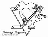 Hockey Nhl Penguin Penguins Calgary Worksheets Printablecolouringpages sketch template
