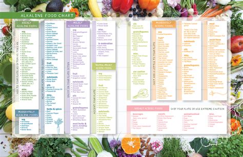 Alkaline Food Graph — Rachelle Robinett Wellness Guide
