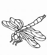 Dragonfly Coloring Pages Printable Print Simple Dragonflies Drawing Animals Outline Clipart Cartoon Color Getdrawings Cliparts Prints Template Library Realistic Kids sketch template