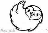Sloth Baby Coloring Pages Cute Printable Cartoon Kids Clipart Bettercoloring Adults Clip Face Binged sketch template
