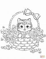 Coloring Kitten Cute Basket Pages Shamrock Printable Drawing Supercoloring Patrick sketch template