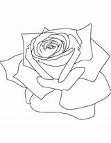 Coloring Rose Petals Pages Flower Choose Board Color Kids Bestcoloringpages sketch template