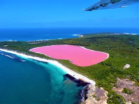swim in lake hillier australia s pink lake