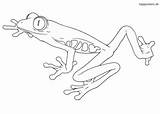 Frosch Ausmalbilder Malvorlage Laubfrosch Colomio Waldtiere Frosche sketch template
