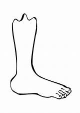 Coloring Foot Pages Colouring Library Clipart Leg sketch template