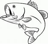 Fish Drawing Coloring sketch template