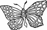 Butterfly Coloring Pages Blank Pattern Color Getcolorings Printable sketch template