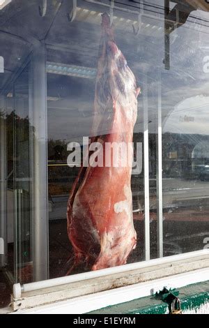 hanging meat carcass stock photo alamy