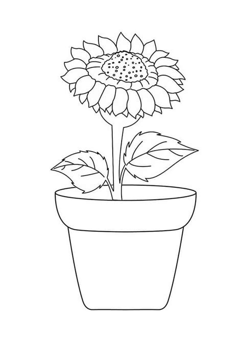 coloring pages printable simple flower coloring pages  preschooler
