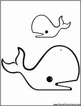 Sperm Baleine Wal Ausdrucken Gratuit sketch template