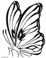 Butterfly Coloring Pages Printable Simple Line Drawing Butterflies Monarch Colouring Cool2bkids Cocoon Kids Color Drawings Easy Clipart Getcolorings Clipartmag Dazzling sketch template