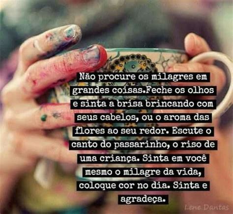 sinceramente  tal felicidade esta nas pequenas coisas