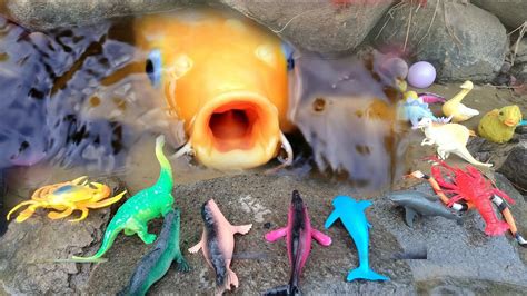 menangkap  ikan  sungai mancari  review mainan outbond anak