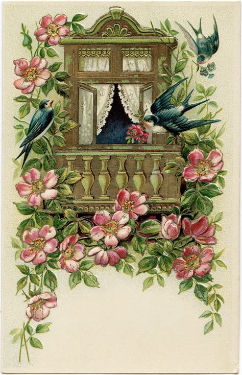 birds  flowers postcard  vintage image  design shop blog