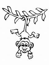 Monkey Coloring Pages Adults Getcolorings sketch template