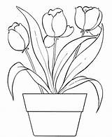 Kolorowanki Kwiaty Pokoloruj Tulipany sketch template