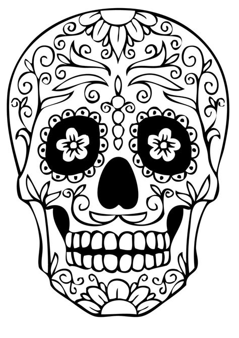 skull coloring pages  developing knowledge  human physiology