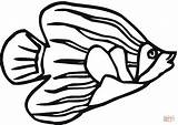 Pesti Peste Pesce Pesci Colorare Colorat Disegni Desene Coloring Angelfish Tropicali Kolorowanki Planse Kolorowanka Angelo Ryba Diversi Rybki Ryby Imagini sketch template