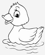 Colorir Pato Mewarnai Duck Haiwan Mewarna Lukisan Kertas Mudah Itik Animais Bermacam Segera Ashgive Muat Turun Patinho Jom Patinhos Binatang sketch template