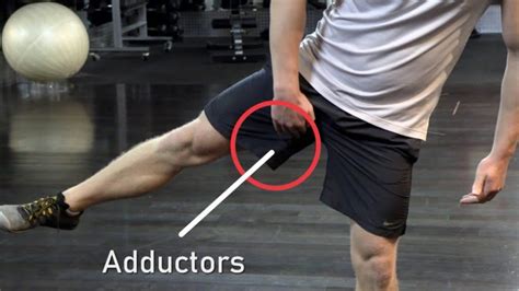 Adductor Plank A Killer Inner Thigh Exercise Vahva Fitness