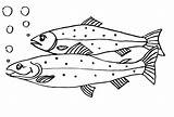 Fisch Malvorlage Fische Ausmalbilder Malvorlagen Drucken Backofen Kuchen sketch template