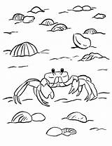 Crab Coloring Ghost Printable Print Samanthasbell Week sketch template