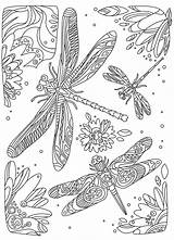 Coloring Pages Dragonfly Zentangle Dragonflies Adults Adult Fairy Book Printable Color App Itunes Apple Dragon Fly sketch template