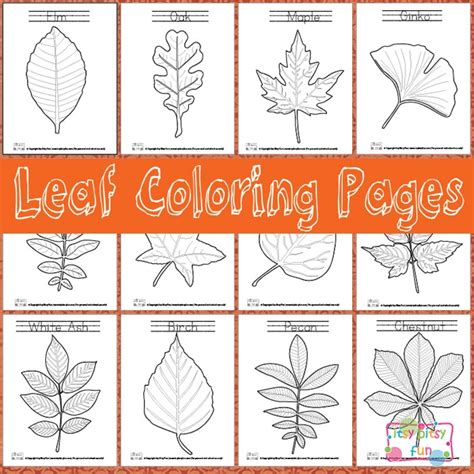 leaf coloring pages itsy bitsy fun