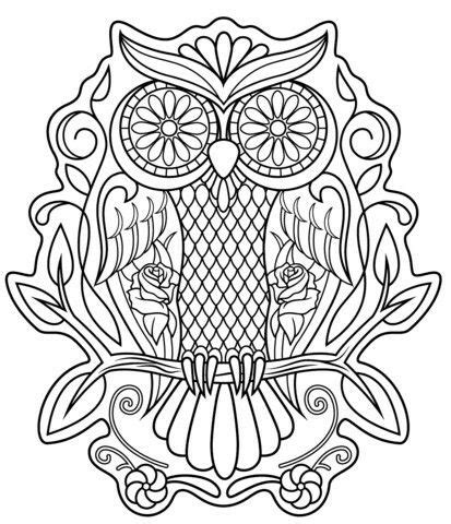 pictures image  kimberly ridley owl coloring pages skull coloring