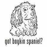 Boykin Spaniel Drawing Line Search Google Puppies Drawings sketch template