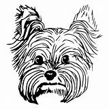 Yorkie Terrier Peeking Dessiner Cachorro Animaux Purebred Clipartmag Yorkies Face Colorare Grafika Pedigree Getdrawings Porcelaine Crayon Broderie Portraits sketch template