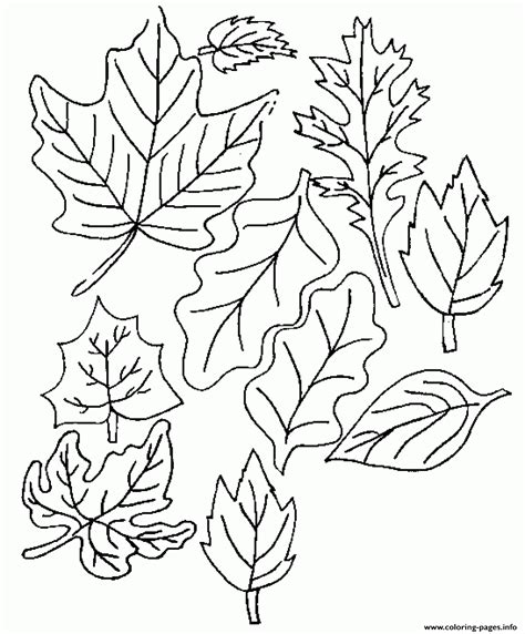 flower leaves coloring page printable