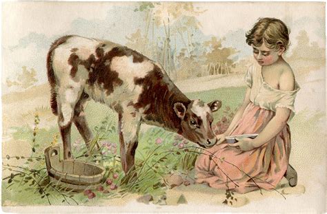 free vintage calf image super sweet the graphics fairy