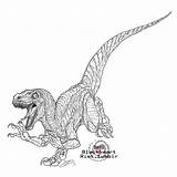 Raptor Kleurplaten Uitprinten Downloaden Dinosaur sketch template