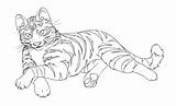 Cat Tabby Drawing Lineart Getdrawings sketch template