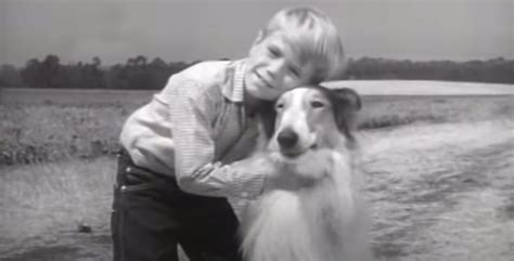 jon provost aka little timmy from lassie is all grown up