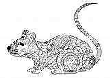 Zentangle Souris Decorations Adulte Mandalas Adulto Decorazioni Disegnato Tirée Décorations Rat Rats sketch template