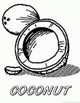 Coconut Coloring Pages Tree Printable Colouring Nature Template Fruit Library Clipart Circle Drawing Coconuts sketch template