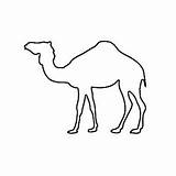 Camel Coloring Happy Outline Desert Print Pages Camels Funky Cutest Color Return Below Index Click sketch template