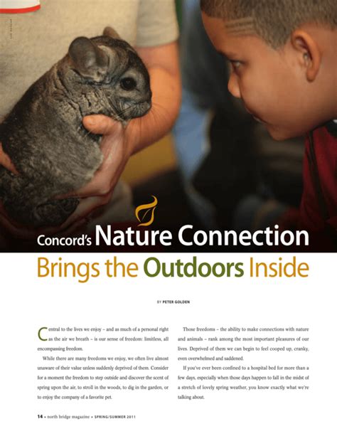 concords nature connection brings