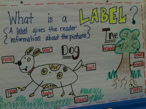 writing workshop kindergarten anchor charts kreative in kinder