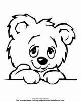Coloring Bear Little Kids Drawing Pages Popular Library Getdrawings sketch template