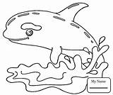 Coloring Whale Pages Orca Sperm Humpback Beluga Baby Color Getdrawings Getcolorings Printable Killer Colorings sketch template