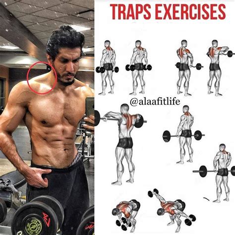 traps exercises traps workout traps workout  home shoulder  trap workout
